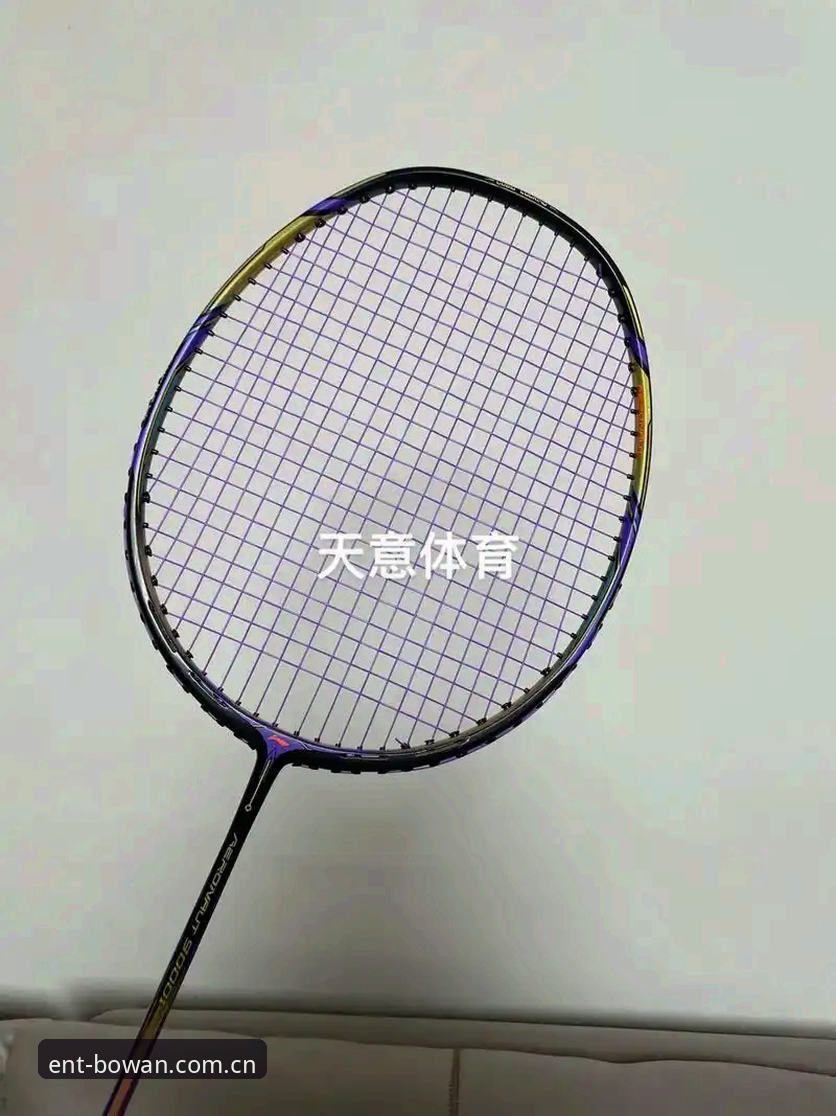 博万体育平台客户端下载全面评测：新手必备的操作指南与体验分析